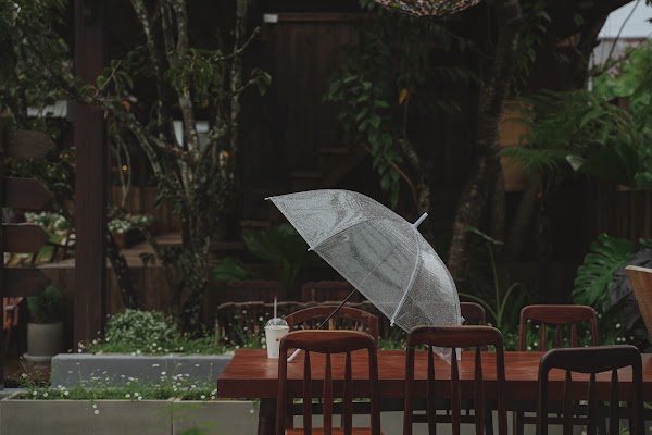 Tiệm cà phê Bình Minh Ơi 1