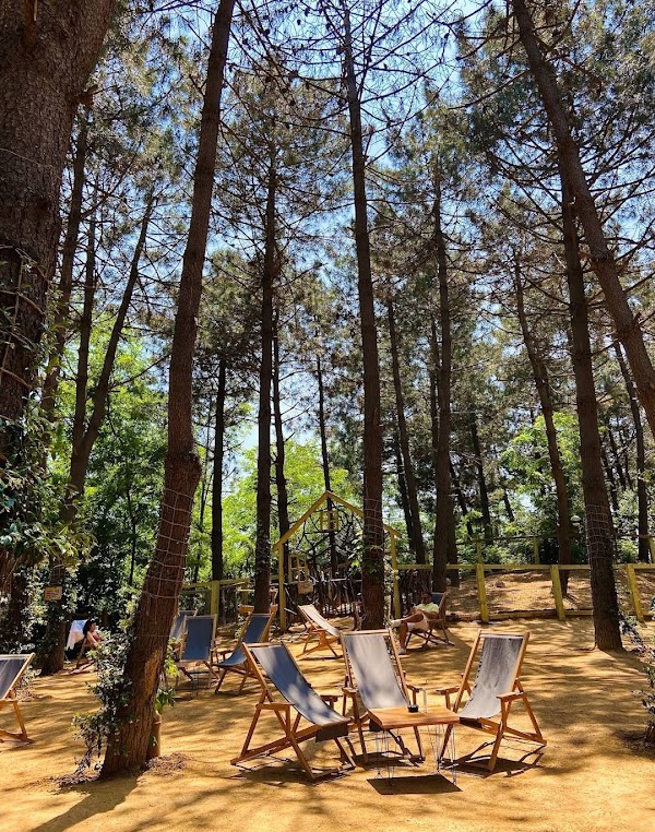Turkcell Platinum Park