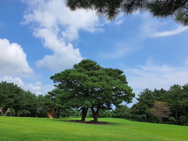 Sanghyowon 5