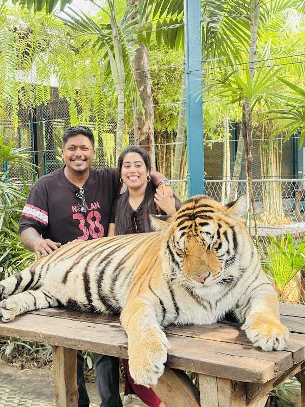 Tiger Park Pattaya 1