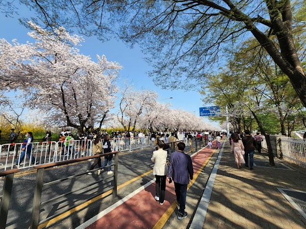 Yeouiseo-ro (Yunjung-ro) 1
