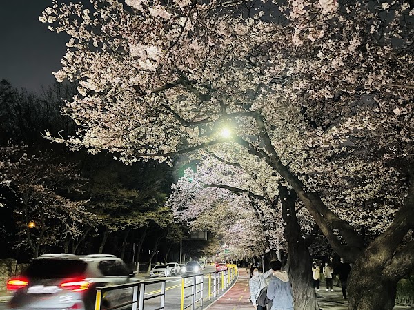 Yeouiseo-ro (Yunjung-ro) 4