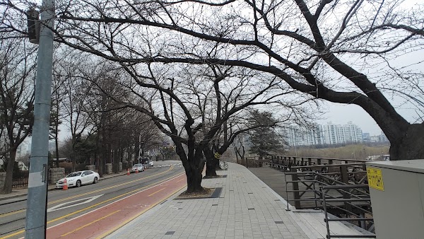 Yeouiseo-ro (Yunjung-ro) 3