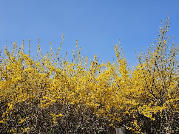 Yeouiseo-ro (Yunjung-ro) 2