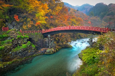 Nikko 1