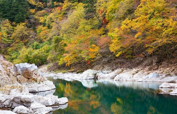 Nikko 4