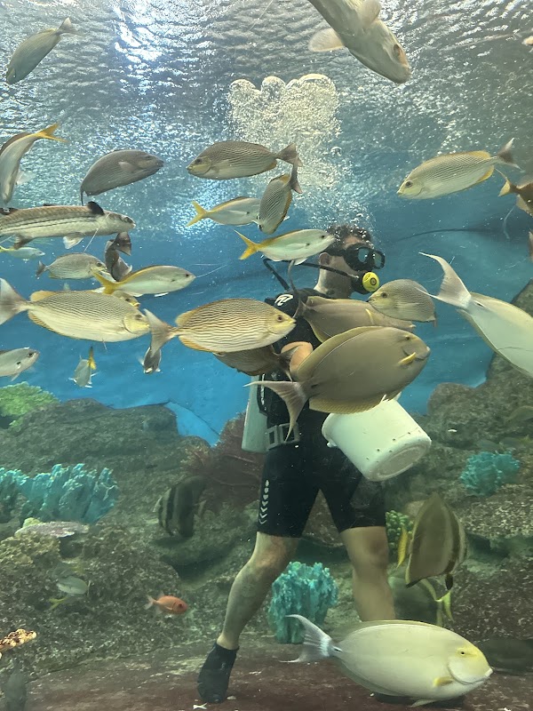 Underwater World Pattaya 1