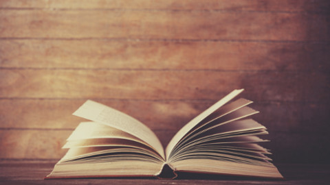 Green Ink Booksellers 5