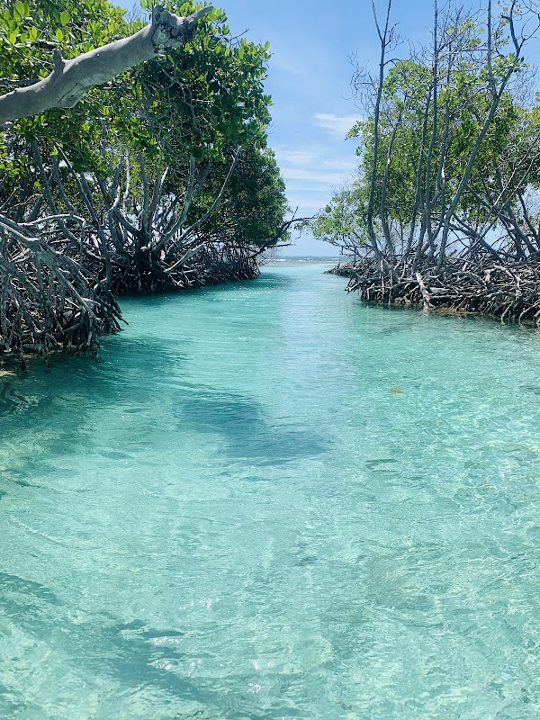 Cayo Caracoles