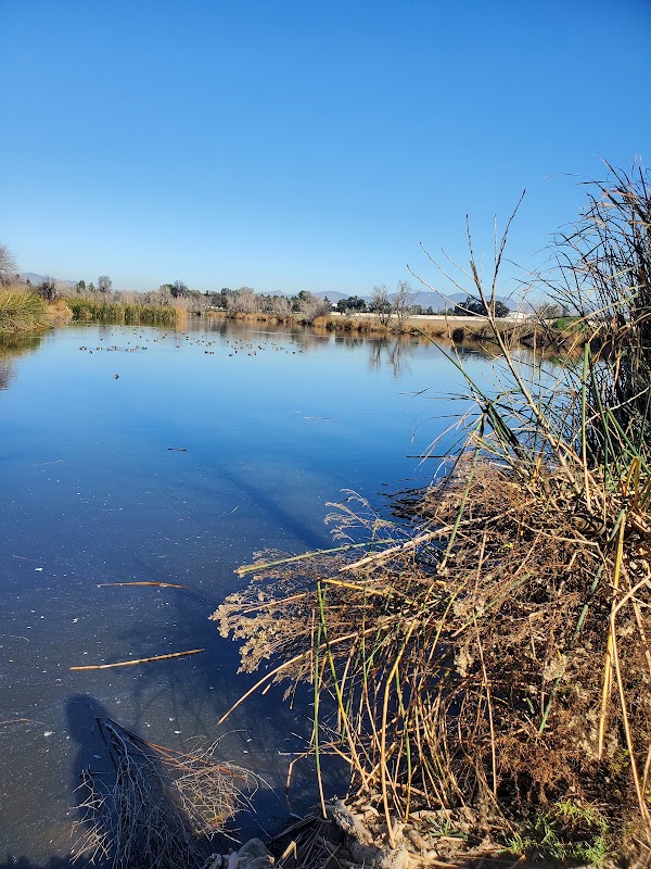 Hansen Dam Aquatic Center 4
