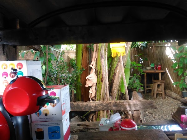 N. Kuay Jap Chiang Mai