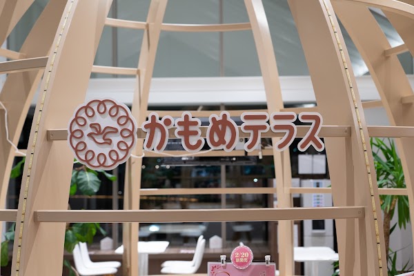 Japan 46