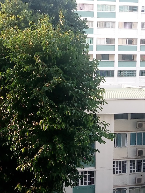 Tampines