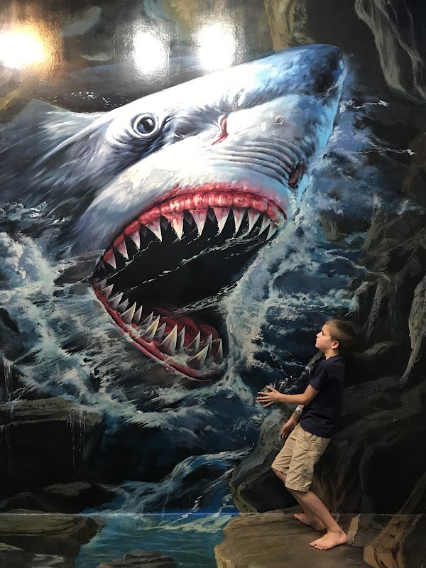 3D Art in Paradise Langkawi 5