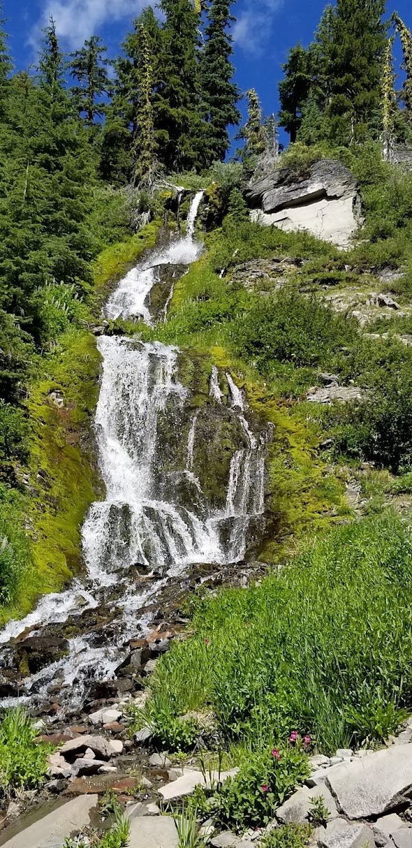 Vidae Falls