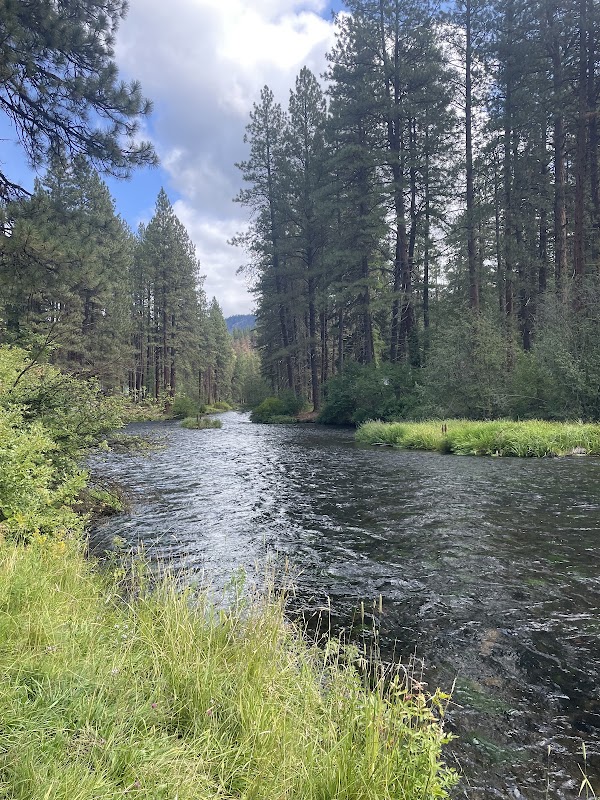 Metolius River Trail
