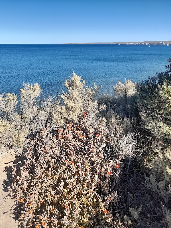 Puerto Madryn 5