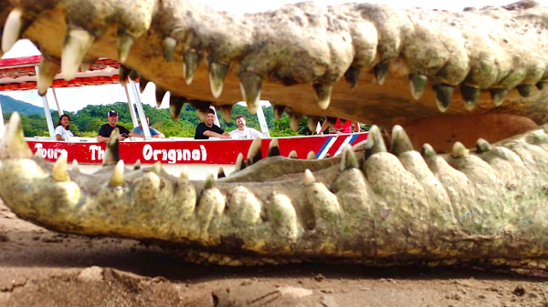 Crocodile Man Tour The Original