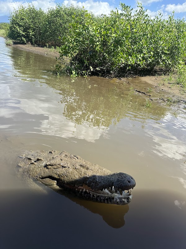 Crocodile Man Tour The Original 2