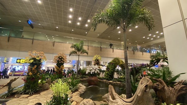 Airport Blvd., T2 Departure 1