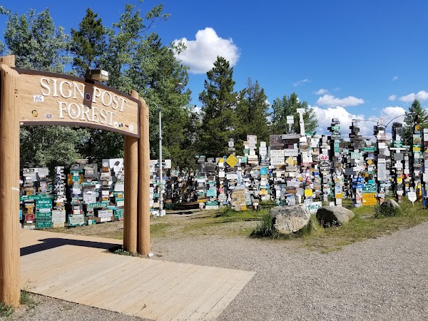 Sign Post Forest 4