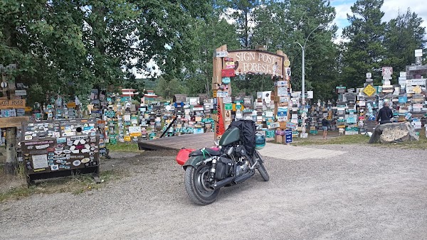 Sign Post Forest 3