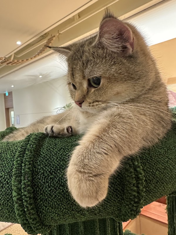 묘해저택 4