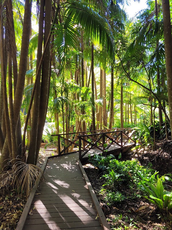 Tamborine Mountain Regional Botanic Gardens 5