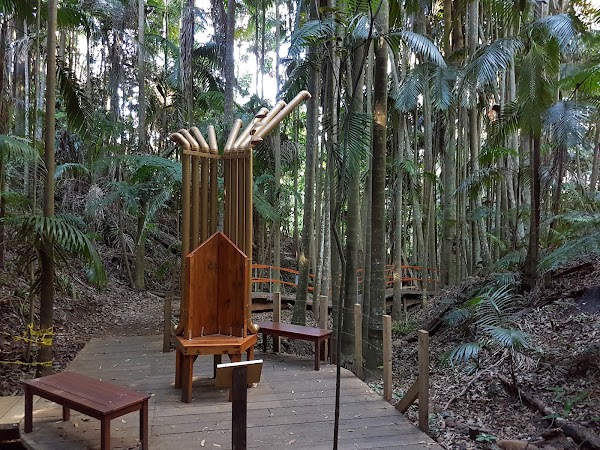 Tamborine Mountain Regional Botanic Gardens 4