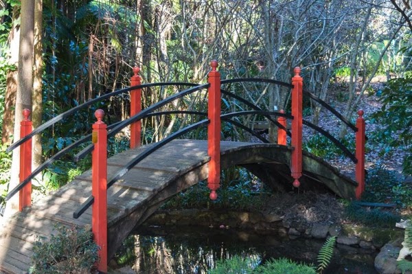 Tamborine Mountain Regional Botanic Gardens 2