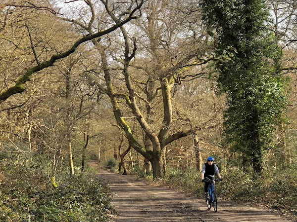 Wimbledon and Putney Commons 5