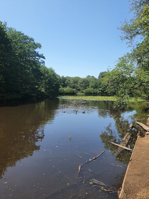 Wimbledon and Putney Commons 2