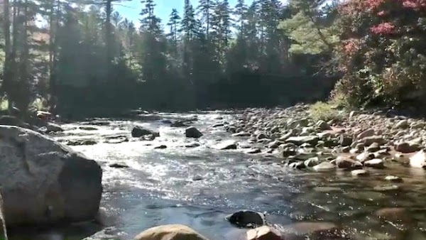Otter Rocks Day Use Area