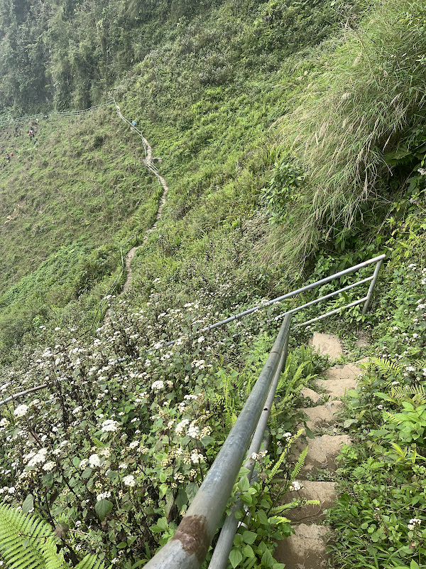 White Cliff Trekking