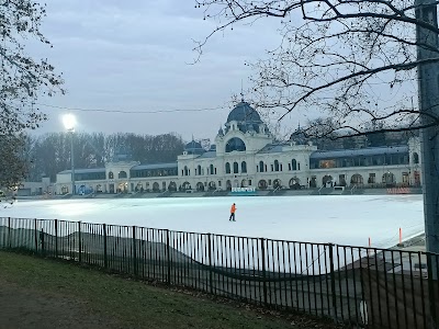 City Park Ice Rink and Boating