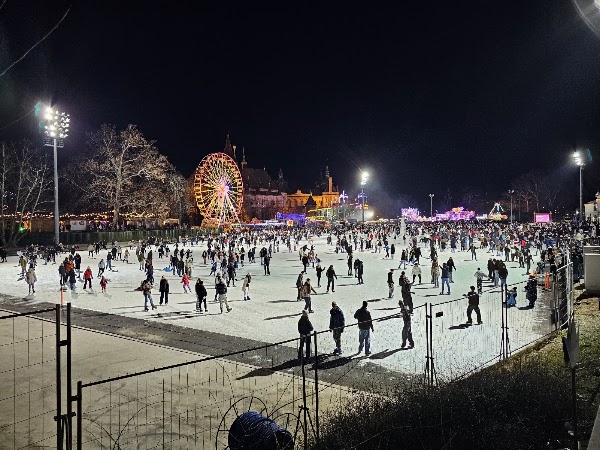 City Park Ice Rink and Boating 5