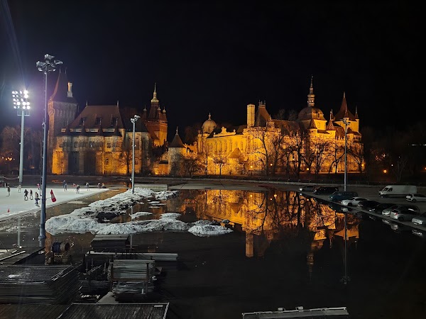 City Park Ice Rink and Boating 4