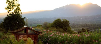 Ojai 12