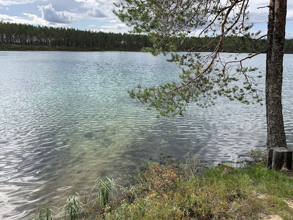 Kaunisjärvi 1