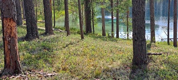 Kaunisjärvi 3