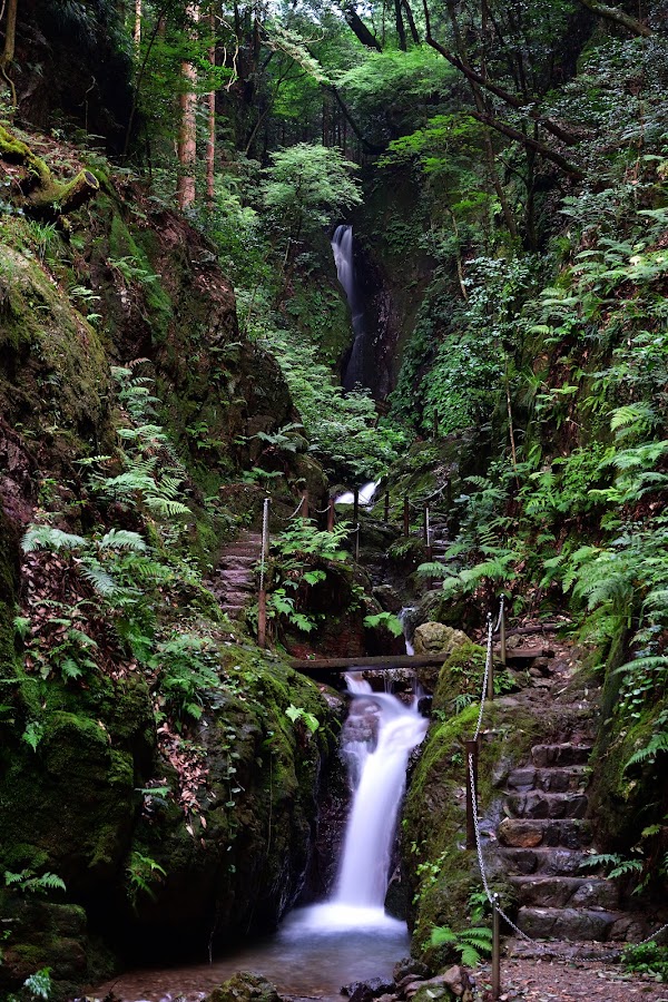 Japan 15