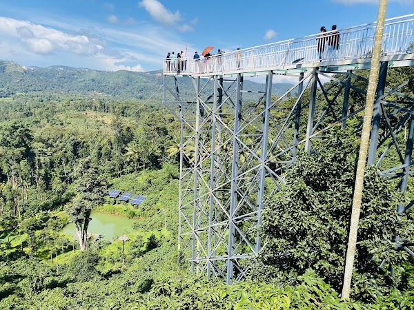Glass Bridge Coffee Plantation Tour Madikeri