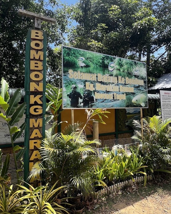 Bombon Kg. Marakau (Fish Spa) 4