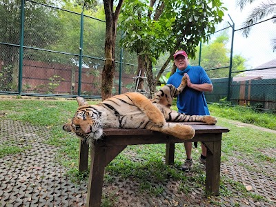 Thailand 4
