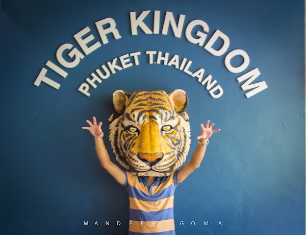 Tiger Kingdom - Phuket 4