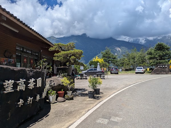 望高茶園