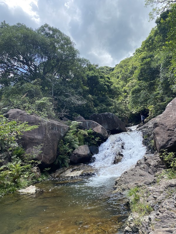 Tai Shing Stream 1