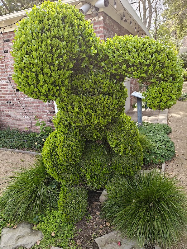 Elizabeth F. Gamble Garden 6