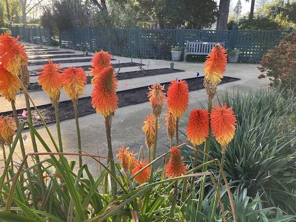 Elizabeth F. Gamble Garden 3