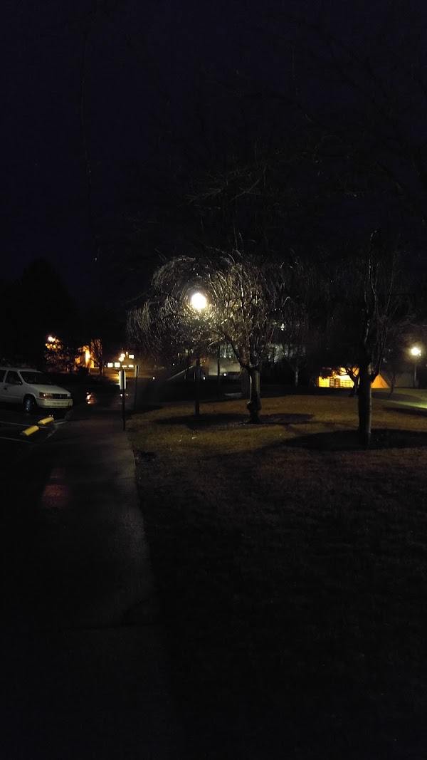 EOU Grassy Field 1
